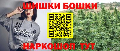 винт Будённовск