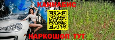 винт Будённовск
